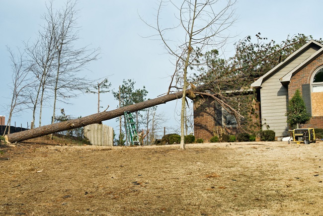 We Can Help After Mother Nature's Storm Damage