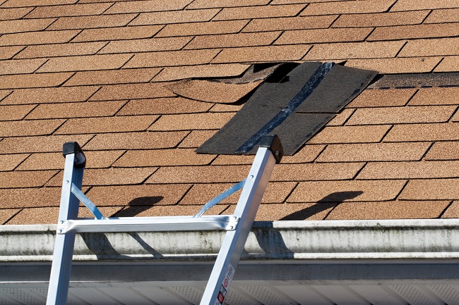 Recognizing When You Are in Need of Roof Repairs