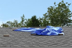The Dangerous Costs of DIY Roof Repair